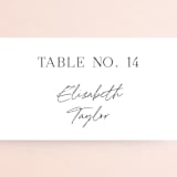 "Painted Trails" - Place Cards in Navy by Alethea and Ruth - Detail