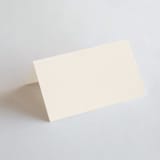 "Rustic Union" - Place Cards in Sunset by Michelle Taylor - Blank front