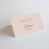 "ampersand names" - Place Cards in Carrot by Lori Wemple - Folded with Free Guest Printing