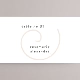 "symbol of optimism" - Place Cards in Blush by Phrosné Barwood - Detail