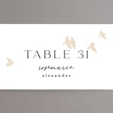 "Soar" - Place Cards in Cream by Phrosné Barwood - Detail