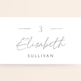 "Ethereal Names" - Place Cards in Plum by Carolyn MacLaren - Detail