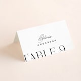 "Coupling" - Place Cards in Cloud by Lauren Chism - Folded with Free Guest Printing