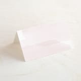 "Painterly" - Place Cards in Blush by Kelly Schmidt - Blank front