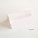 "Painterly" - Place Cards in Blush by Kelly Schmidt - Folded Back of Card