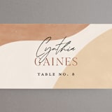 "Surface" - Place Cards in West by Pixel and Hank - Detail