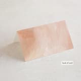 "Magic Hour" - Place Cards in Desert Rose by Hooray Creative - Folded Back of Card