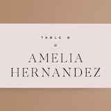 "Coco" - Place Cards in Linen by Carly Reed Walker - Detail