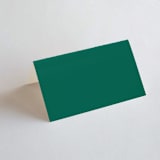 "Bold Type" - Place Cards in Parrot by Owl and Toad - Blank front