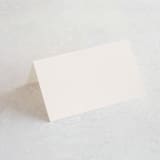 "The Loden" - Place Cards in Ivory by Kelly Schmidt - Blank front