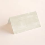 "Abstract Shapes" - Place Cards in Vineyard by Paden Gillette - Blank front