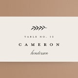 "Surround" - Place Cards in Ivory by Brianne Larsen - Detail