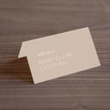"Painted Sands" - Place Cards in Terracotta by Chelsea Petaja - Folded with Free Guest Printing