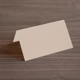 "Painted Sands" - Place Cards in Terracotta by Chelsea Petaja - Blank front