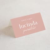 "Party Accordingly" - Place Cards in Blush by Hudson meet Rose - Folded with Free Guest Printing