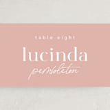 "Party Accordingly" - Place Cards in Blush by Hudson meet Rose - Detail