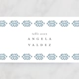 "Painted Ikat" - Place Cards in Frost by Liz Conley - Detail