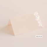 "French Roses" - Place Cards in Blush by 2birdstone - Folded Back of Card