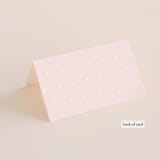 "Lettera" - Place Cards in Blush by Lauren Chism - Folded Back of Card