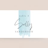 "So Delightful" - Place Cards in Sky by Erika Firm - Detail