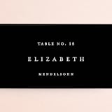 "Elemental" - Place Cards in Cloud by Snow and Ivy - Detail