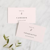 "Mod Brush" - Place Cards in Blush by Lisa Fee Paura - Front with Free Guest Printing