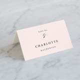 "Mod Brush" - Place Cards in Blush by Lisa Fee Paura - Folded with Free Guest Printing