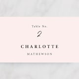 "Mod Brush" - Place Cards in Blush by Lisa Fee Paura - Detail
