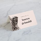"Vignette" - Place Cards in Cosmopolitan by silverscreen studio - Folded with Free Guest Printing
