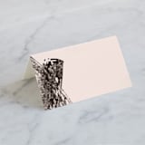 "Vignette" - Place Cards in Cosmopolitan by silverscreen studio - Blank front