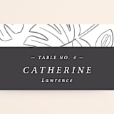 "Crescendo" - Place Cards in Snow by Griffinbell Paper Co. - Detail