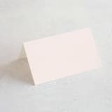 "Just the Two of Us" - Place Cards in Blush by Jennifer Wick - Blank front