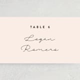 "Just the Two of Us" - Place Cards in Blush by Jennifer Wick - Detail