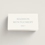 "Leighton" - Place Cards in Lakeshore Blue by Jennifer Postorino - Folded with Free Guest Printing