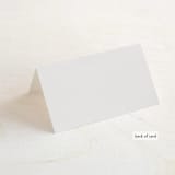 "Big City - New York City" - Place Cards in Light Taupe by Hooray Creative - Folded Back of Card