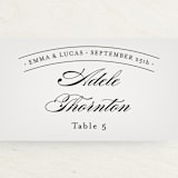 "Big City - New York City" - Place Cards in Light Taupe by Hooray Creative - Detail