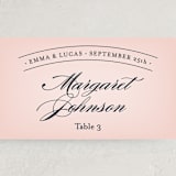 "Big City - San Francisco" - Place Cards in Blush by Hooray Creative - Detail