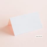 "Palm" - Place Cards in Salmon by Lauren Chism - Folded Back of Card