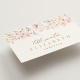 "kosmos" - Place Cards in Cotton Candy by Phrosné Barwood - Detail