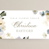 "Swept Away" - Place Cards in Petal by Leah Bisch - Detail