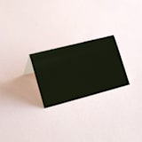 "Verdant" - Place Cards in Moss by Nicoletta Savod - Blank front