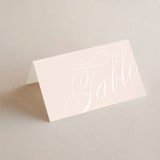 "Classic Lux" - Place Cards in Blush by Stacey Day - Blank front
