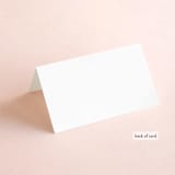 "Allure" - Place Cards in Cloud by JoAnn Jinks - Folded Back of Card