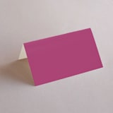 "Miami" - Place Cards in Bird of Paradise by Ashley DeMeyere - Blank front