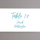 "darby" - Place Cards in Azure by Kelly Watkins - Detail