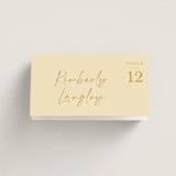 "Ink scribble" - Place Cards in Honey by Adelyn T. - Folded with Free Guest Printing