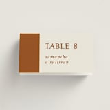 "Stripes" - Place Cards in Wave by Kelly Watkins - Folded with Free Guest Printing
