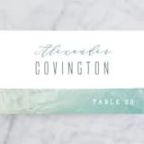 "Painted Sea" - Place Cards in Seafoam by Hooray Creative - Detail