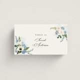 "Disney's Cinderella Fairytale" - Place Cards in Bluebell by Susan Moyal - Front with Free Guest Printing