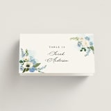 "Disney's Cinderella Fairytale" - Place Cards in Bluebell by Susan Moyal - Folded with Free Guest Printing